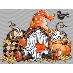 autumn-QT 978